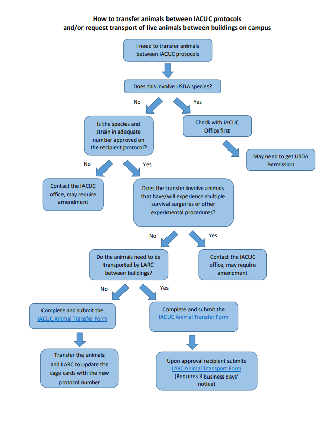 Animal Transfer Flowchart